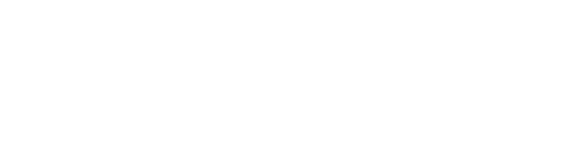 Sylvan Consulting